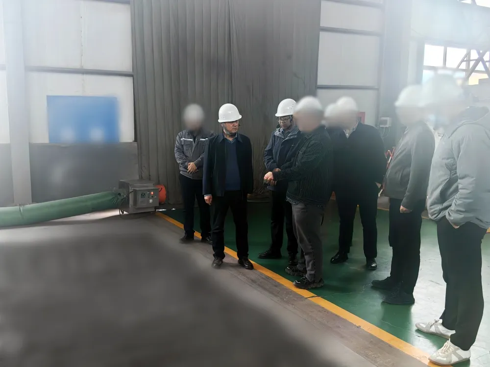 高新技術企業(yè)，超百項專利技術！甘肅某地方政府實地對接復雜難選金屬礦高效開發(fā)利用投資選址項目